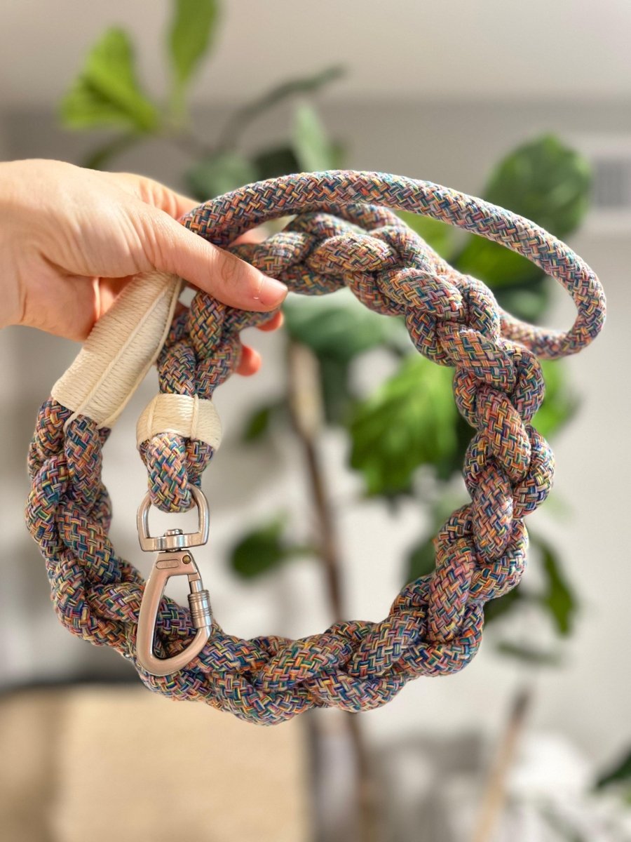New: Handcrafted Rainbow Rover Dog Leash, Sustainable, view 2