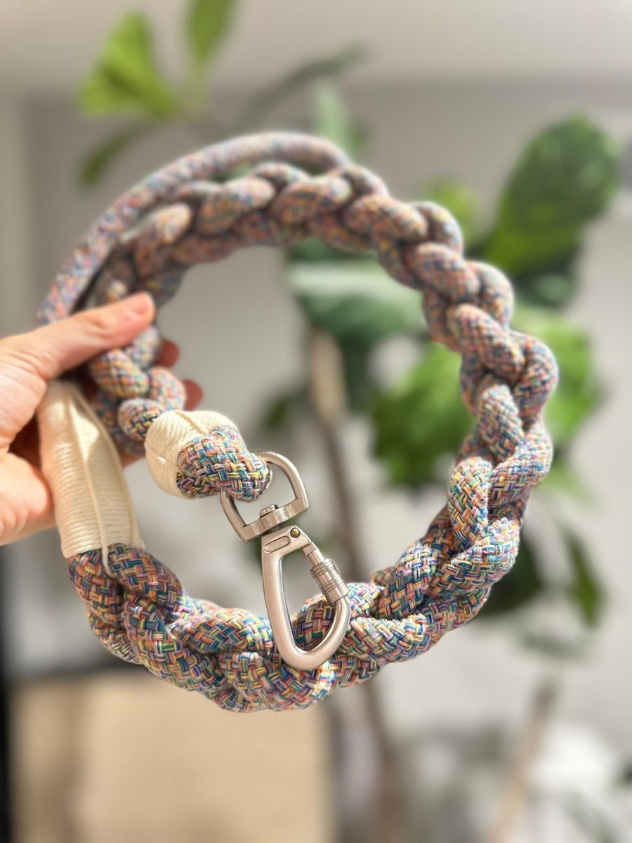 New: Handcrafted Rainbow Rover Dog Leash, Sustainable, view 3