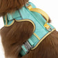 Island Vibes Ultimate Dog Harness - Pets Perfect