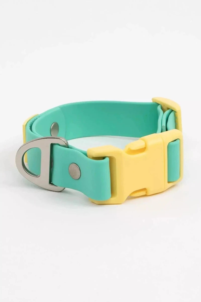 Island Vibes Waterproof Dog Collar, Aqua / Sunshine Yellow/17 - 20, view 4