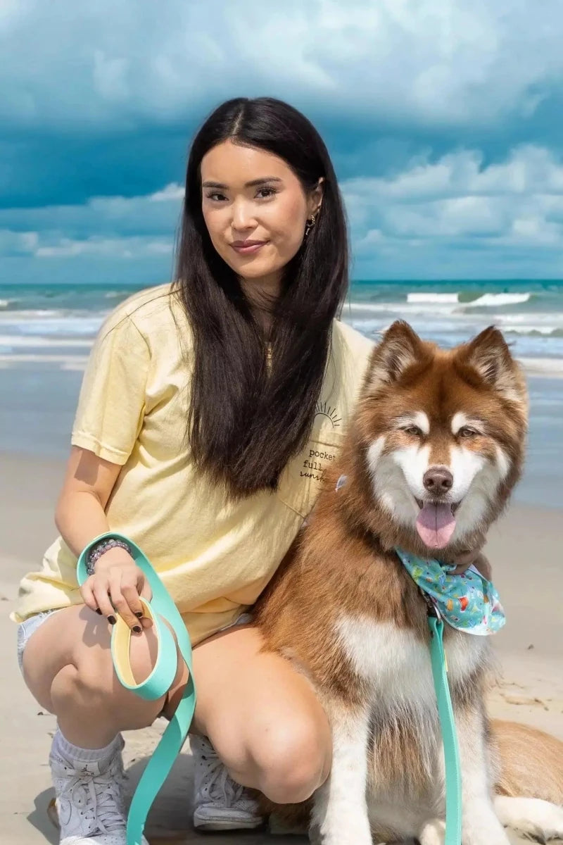 Island Vibes Waterproof Dog Collar, Aqua / Sunshine Yellow/20 - 26, view 5