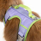 Aria the Fox Lavender Garden No - Pull Dog Harness - Elegant Comfort - Pets Perfect