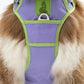 Aria the Fox Lavender Garden No - Pull Dog Harness - Elegant Comfort - Pets Perfect