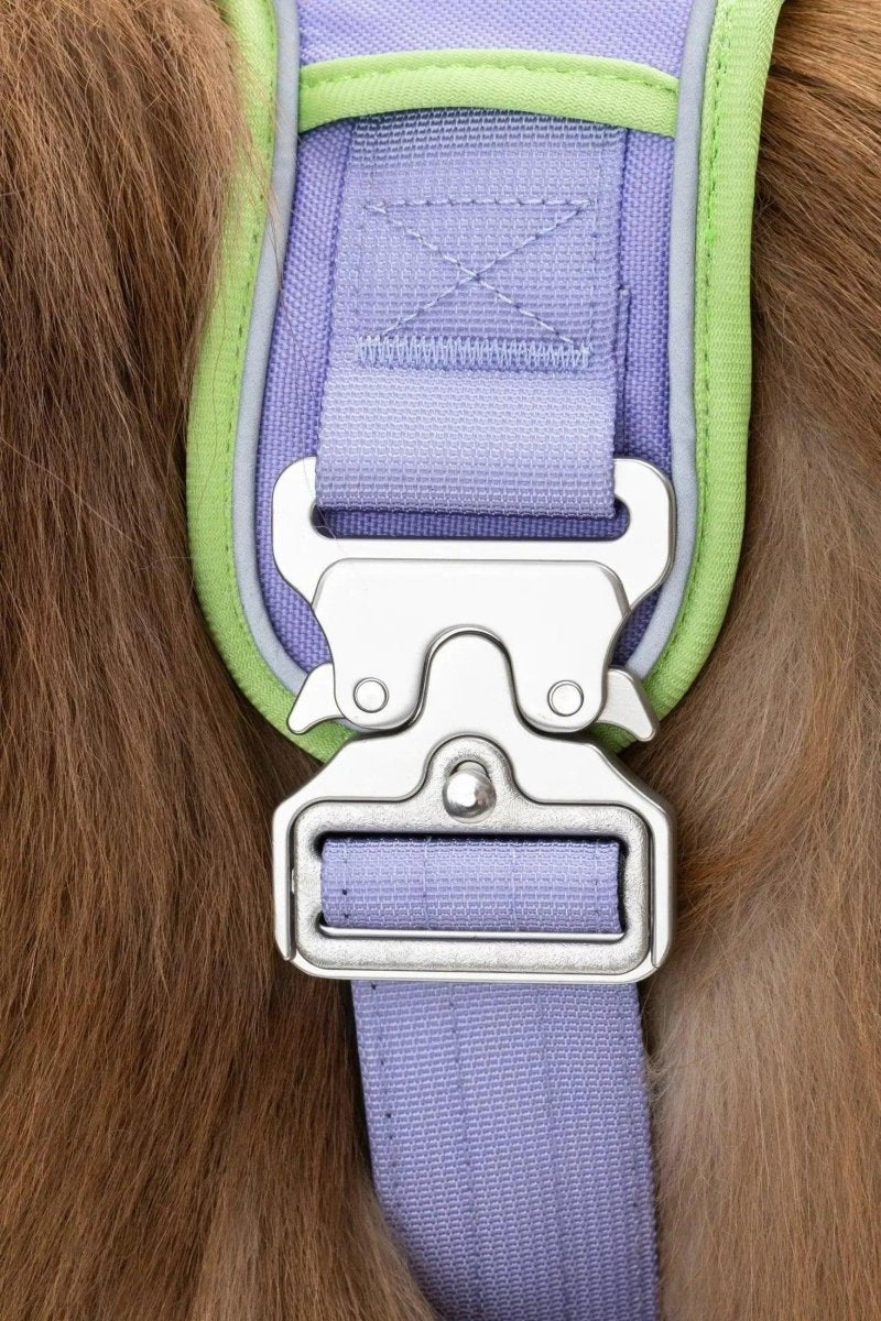 Aria the Fox Lavender Garden No-Pull Dog Harness - Elegant Comfort, Lavender / Meadow Green/Medium, view 2
