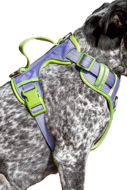 Aria the Fox Lavender Garden No - Pull Dog Harness - Elegant Comfort - Pets Perfect