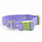Lavender Garden Waterproof Dog Collar