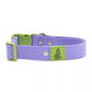 Lavender Garden Waterproof Dog Collar