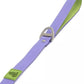 Lavender Garden Waterproof Dog Leash - Pets Perfect