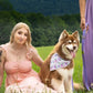 Lavender Garden Waterproof Dog Leash - Pets Perfect