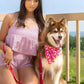 Red Mountain Syrah Waterproof Dog Leash - Pets Perfect