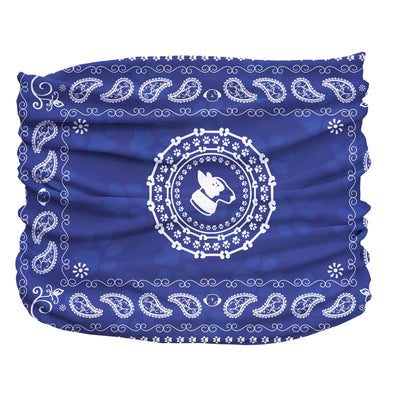 Bandana Pup Scruff - Classic Dog Bandana Dog Collar, Blue/TEENY