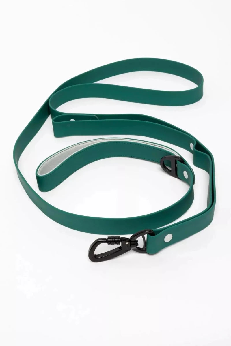 Siberian Spruce Waterproof Dog Leash - Pets Perfect
