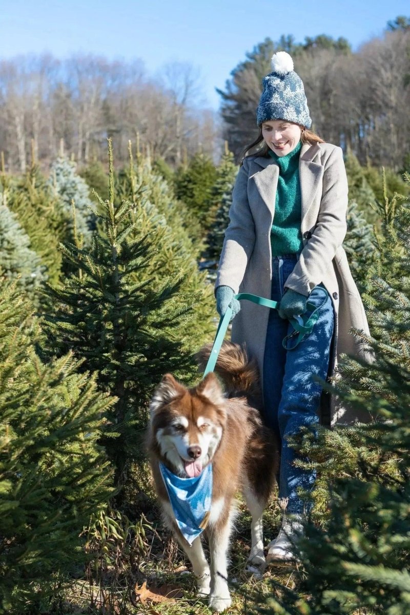 Siberian Spruce Waterproof Dog Leash - Pets Perfect