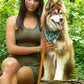 Vegan Leather Dog Collar - Sierra Sunrise Design - Pets Perfect