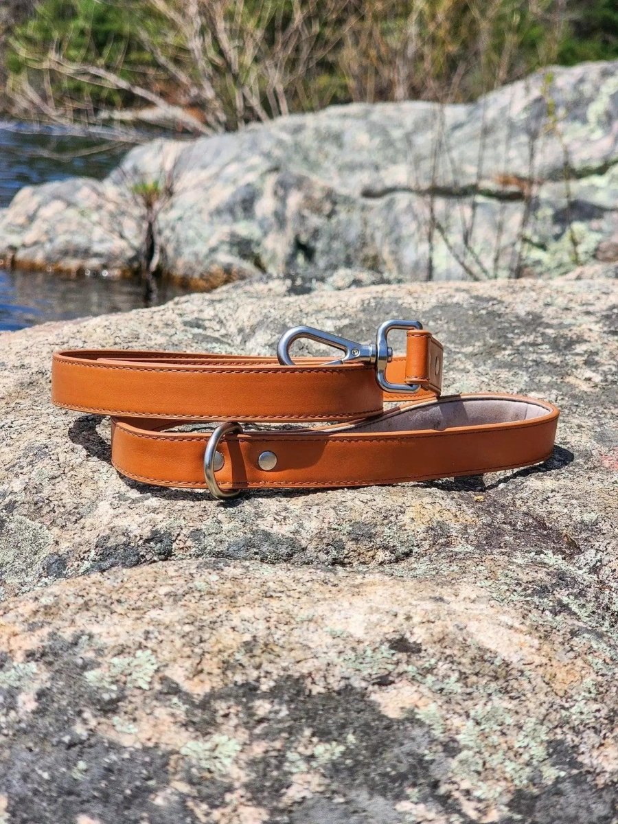 Sierra Sunrise Vegan Leather Dog Leash, view 4