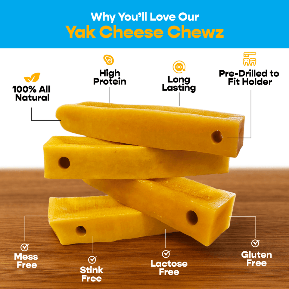 Mighty Chewz - Long-Lasting Yak Cheese Dog Chew with Holder, 4 ct, view 3