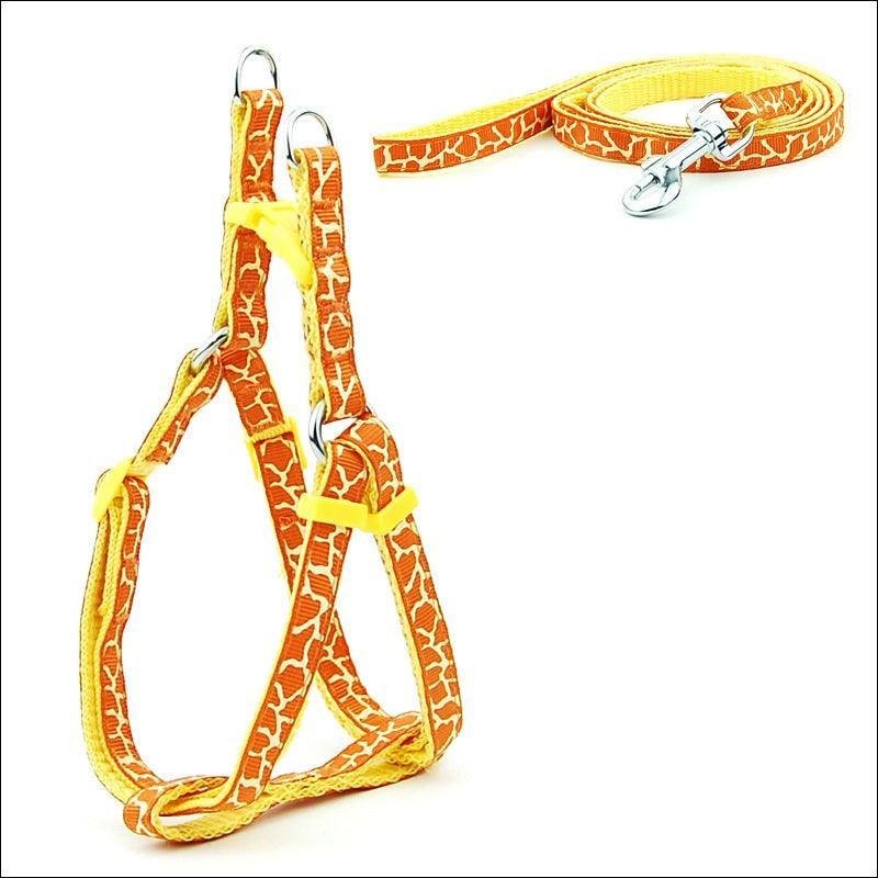 Pet Adventure Chest Strap Leash - Premium Quality Dog And Cat Walking Harness - Pets Perfect