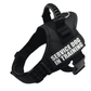 Explosafe Pet Leash: The Ultimate Safety Harness For Your Furry Friend - Pets Perfect
