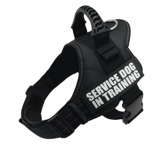 Explosafe Pet Leash: The Ultimate Safety Harness For Your Furry Friend - Pets Perfect