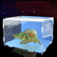 Acrylic Reptile Feeding Habitat - Transparent Thermal Box - Pets Perfect