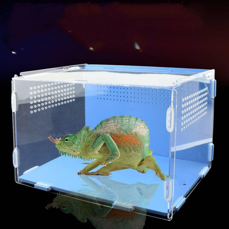 Acrylic Reptile Feeding Habitat - Transparent Thermal Box - Pets Perfect