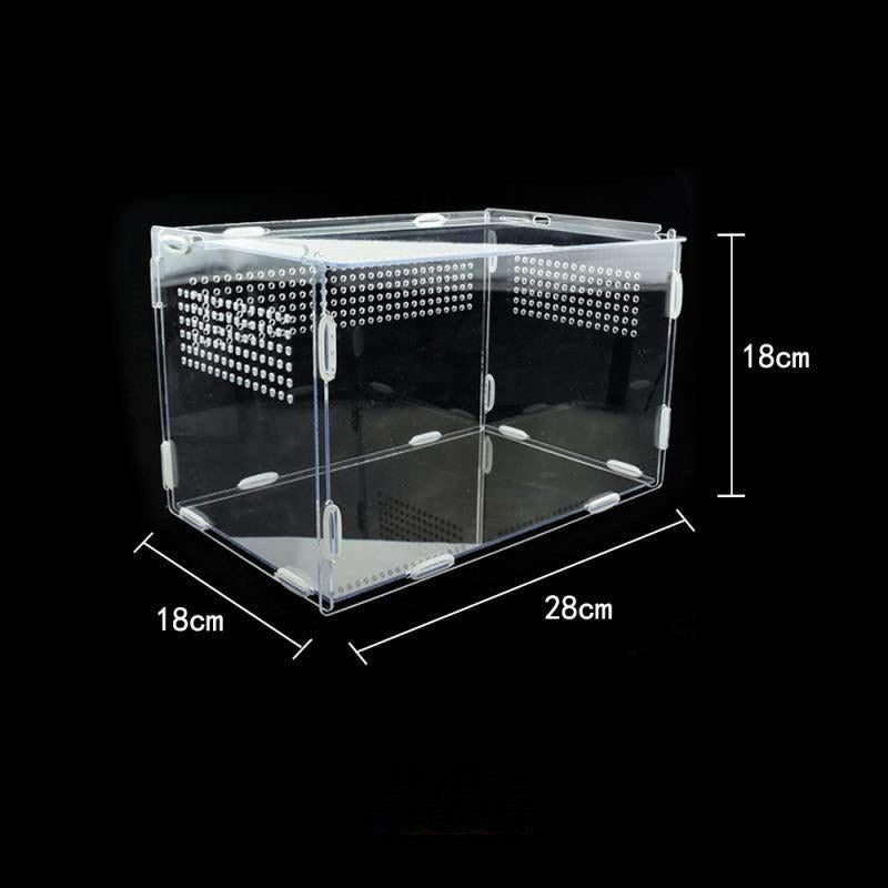 Acrylic Reptile Feeding Habitat - Transparent Thermal Box - Pets Perfect
