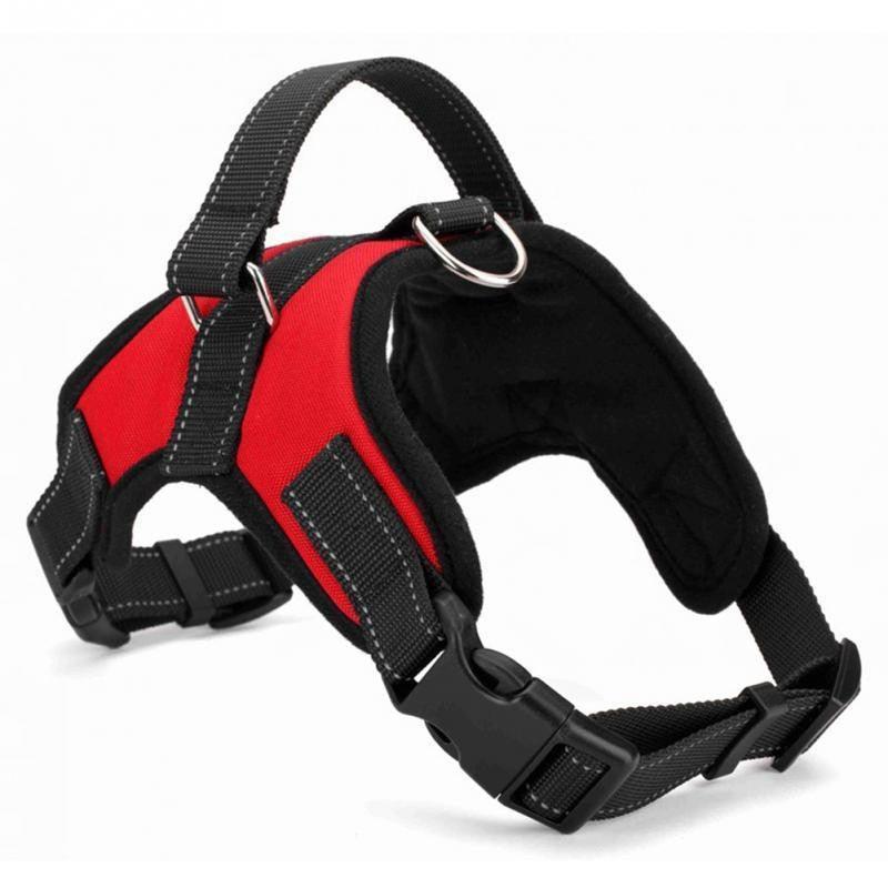 Adjustable Dog Chest Harness With Optional Accessories - Pets Perfect