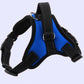 Adjustable Dog Chest Harness With Optional Accessories - Pets Perfect