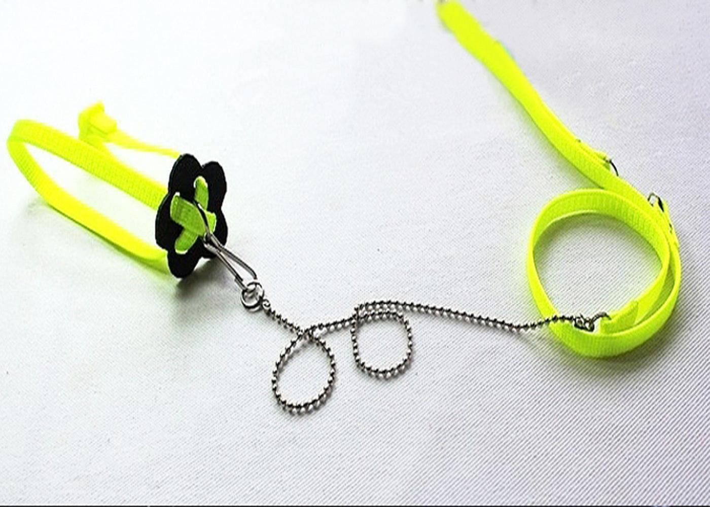 Adjustable Outdoor Lizard Leash - Stylish And Durable Pet Walking Rope.
