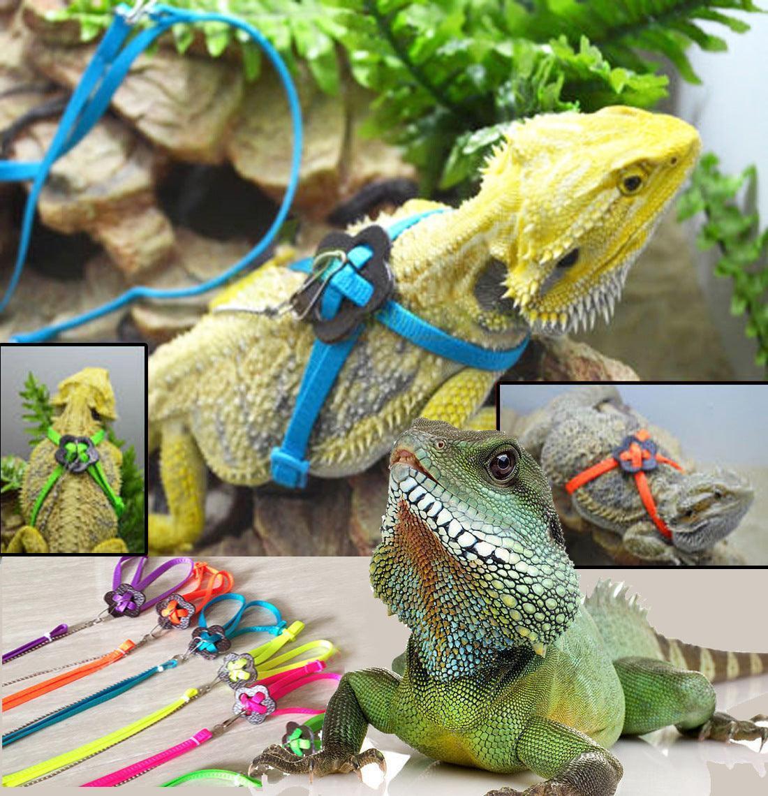Adjustable Outdoor Lizard Leash - Stylish And Durable Pet Walking Rope.