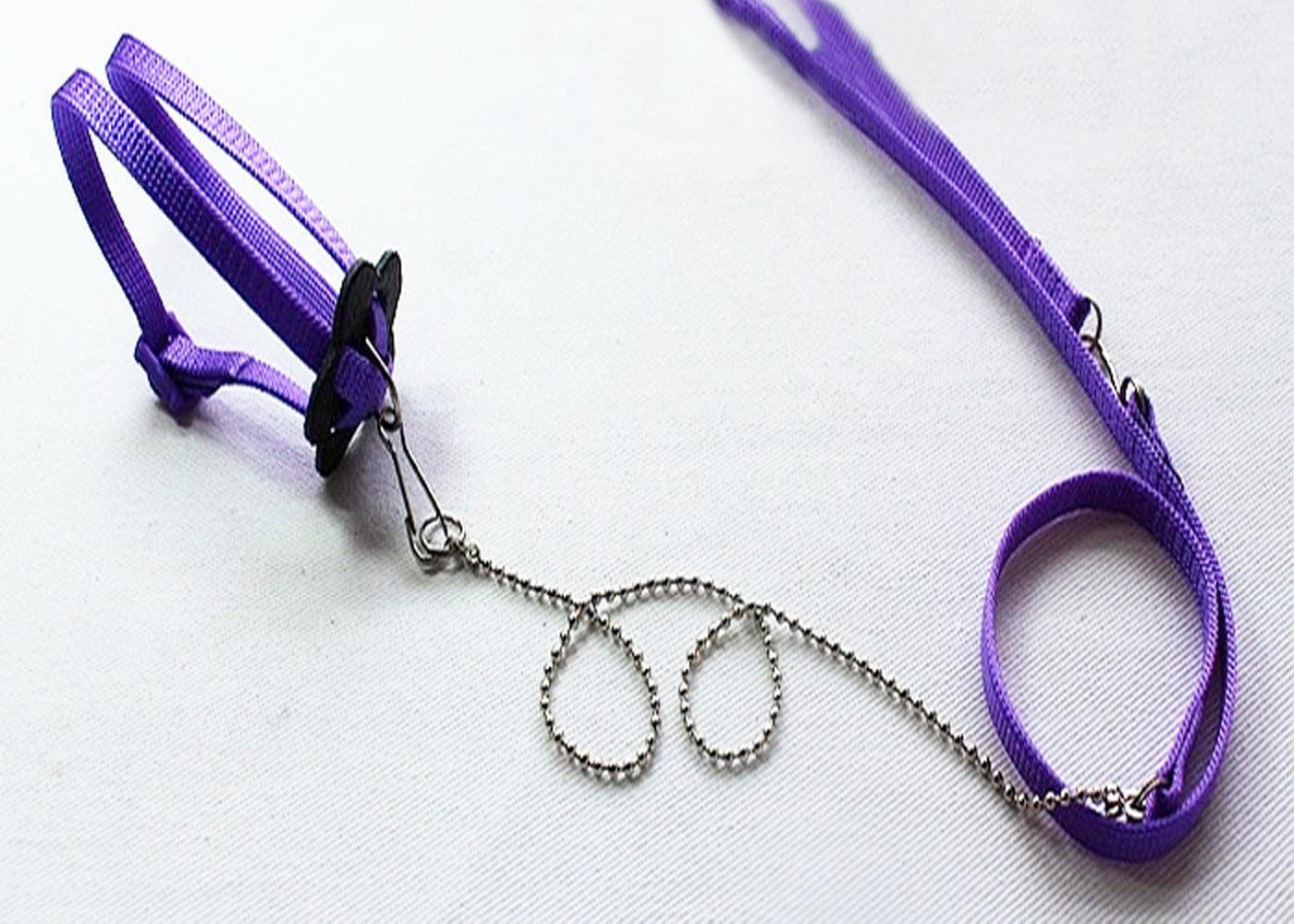 Adjustable Outdoor Lizard Leash - Stylish And Durable Pet Walking Rope.