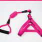 Adjustable Pet Leash And Chest Strap Set With Reflective And Strengthened Design - Pets Perfect