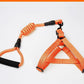 Adjustable Pet Leash And Chest Strap Set With Reflective And Strengthened Design - Pets Perfect