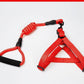 Adjustable Pet Leash And Chest Strap Set With Reflective And Strengthened Design - Pets Perfect