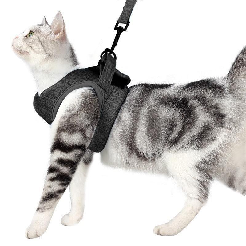 Adventure Cat Leash Vest - Pets Perfect
