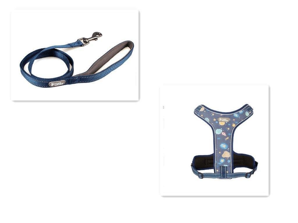 Adventure Paws Dog Harness And Leash Set - Pets Perfect