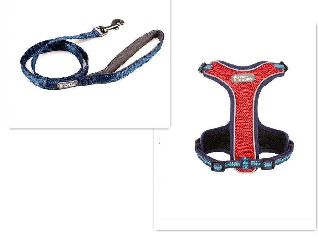 Adventure Paws Dog Harness And Leash Set - Pets Perfect