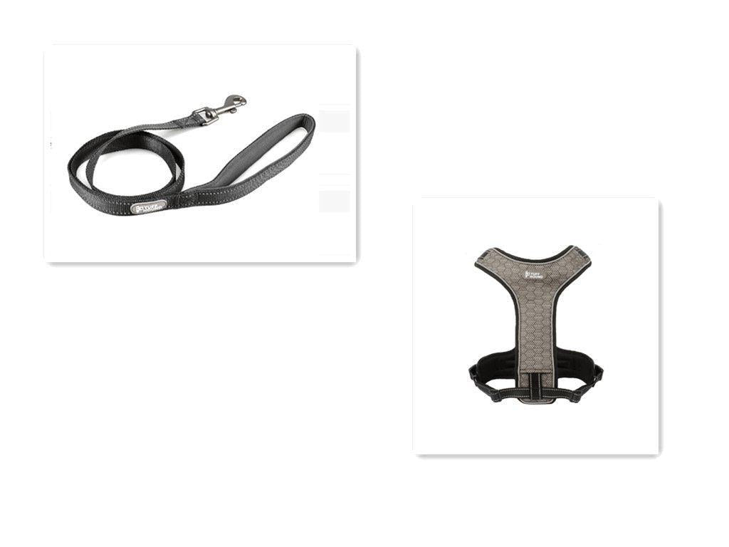 Adventure Paws Dog Harness And Leash Set - Pets Perfect