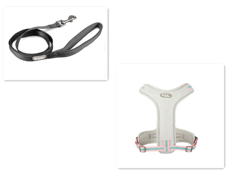 Adventure Paws Dog Harness And Leash Set - Pets Perfect