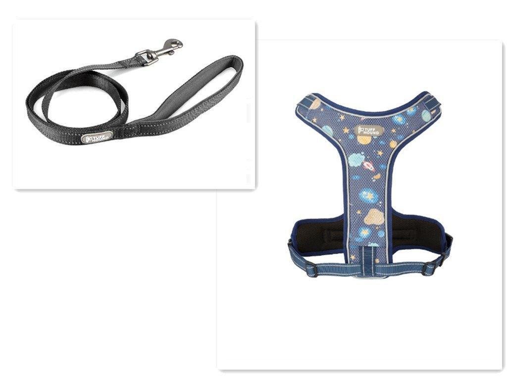 Adventure Paws Dog Harness And Leash Set - Pets Perfect
