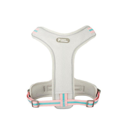 Adventure Paws Dog Harness And Leash Set - Pets Perfect