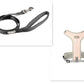 Adventure Paws Dog Harness And Leash Set - Pets Perfect