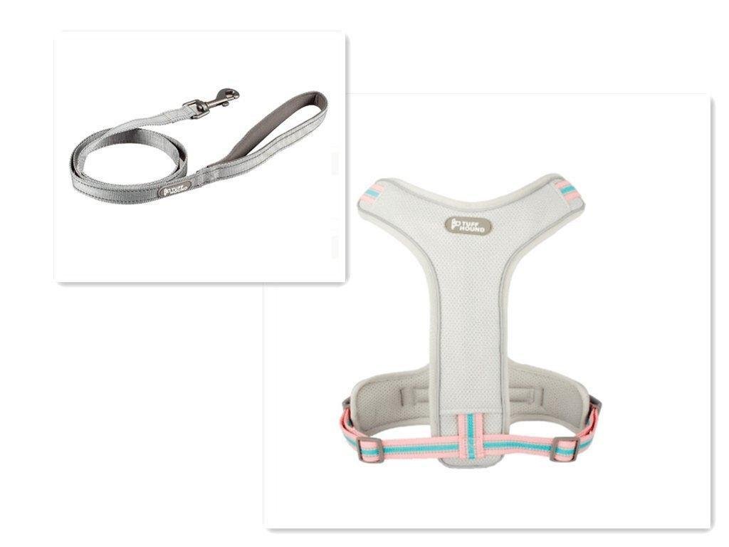Adventure Paws Dog Harness And Leash Set - Pets Perfect