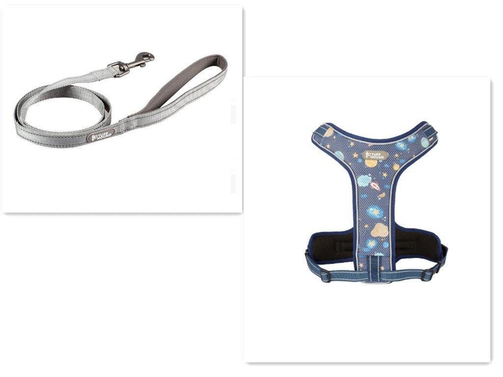 Adventure Paws Dog Harness And Leash Set - Pets Perfect