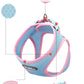 Pet Adventure Chest Harness And Leash Combo - Pets Perfect