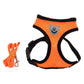 Airmesh Pro Dog Harness - Pets Perfect