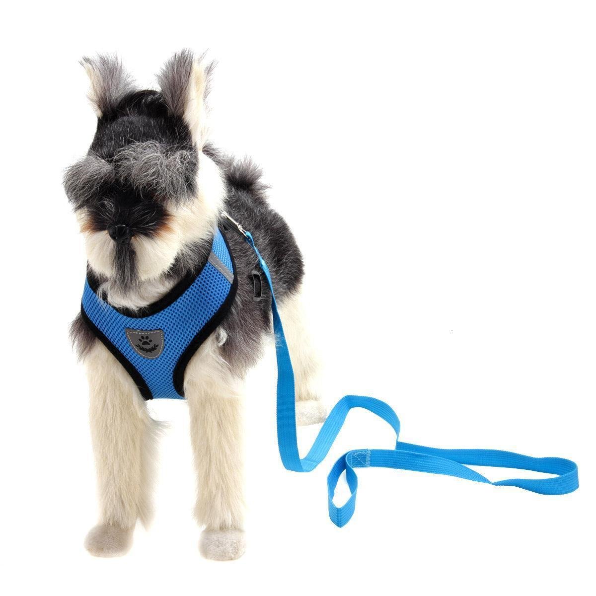 Airmesh Pro Dog Harness - Pets Perfect