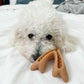 Tall Tails Dog Enrichment Antler & Acorn 12 in