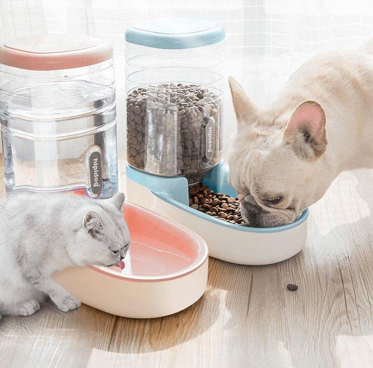 Automatic Pet Feeder and Drinking Fountain Combo - Pets Perfect
