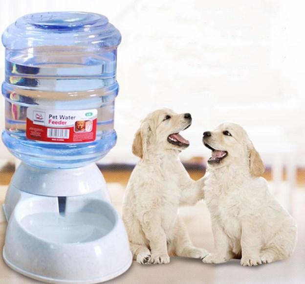 Automatic Pet Feeder & Water Fountain Combo - Large Capacity, Eco - Friendly Design - Pets Perfect